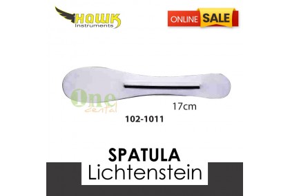 Spatula Lichtenstein